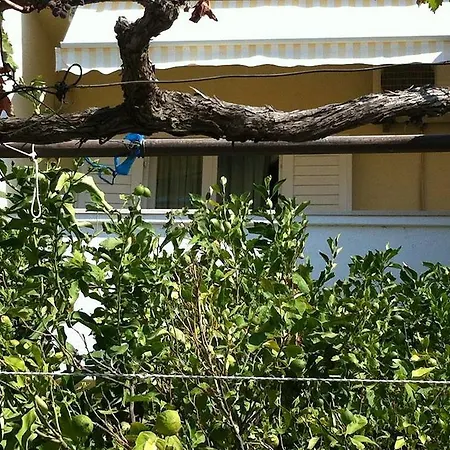 公寓 安娜马里公寓 *