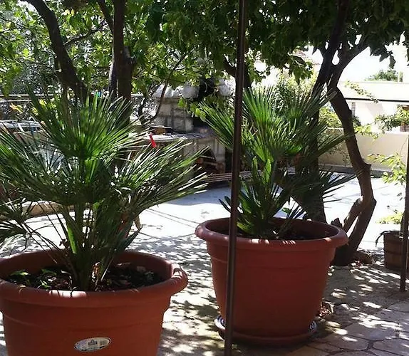 아파트 Ana Mari 코미자